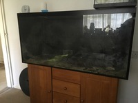 360L aquarium