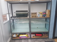 Two Discus Rearing or Breeding Tanks with Racking.