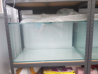 Two Discus Rearing or Breeding Tanks with Racking.