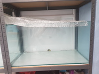 Two Discus Rearing or Breeding Tanks with Racking.