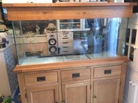 REDUCED TO £500 FROM £600/aquarium with solid oak base and lid/from maidenhead aquatics.