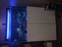 300 Liter Braceless, optiwhite glass marine stand and tank with sump. Complete set up