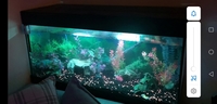 Just under 200ltr tank