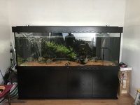 ND Aquatics - Tank and Cabinet - 84 x 26 x 30 - Like New