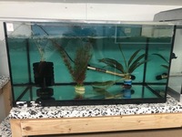 Aquariums and equipment