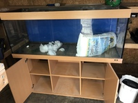 Jewel 5 foot fish tank and cabinet £250.00