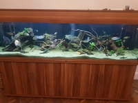 ND AQUATICS 7X2X2 fish tank full set up