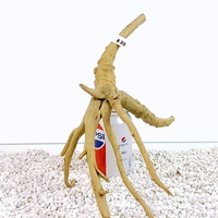 Aquarium Roots, Driftwoods Red Moore over 100 pieces available