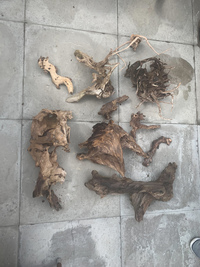 25% OFF (5FT) 60x24x18 Aquarium + Lots of Livestock, Bog wood, Dragon Stone & More