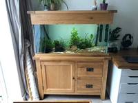 £350 - Aqua oak 200L tank and cabinet