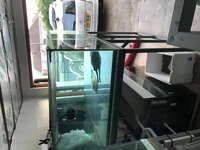 6x4x2 Large Aquarium
