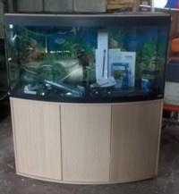 Fluval Vicenza 260 Bow fronted Aquarium with matching Cabinet in Beech.