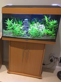 Juwel Rio 125 plus lots of extras