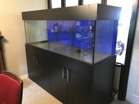 CLEARSEAL 6FT X 2FT X 2FT AQUARIUM WITH BLACK CABINET AND HOOD.