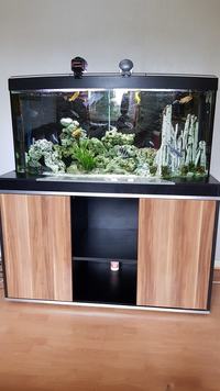 fish tank full setup