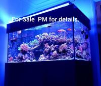 Marine Aquarium - Fish - Live Rock Equipment