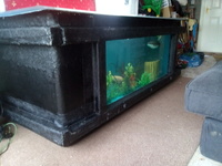 Sold pending collection on 21st AMAZING available now tropical fibreglass pond, tank,aquarium, fibreglass with viewing window