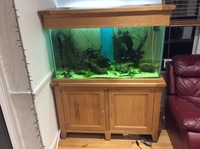 Oak aquarium and equipment for sale