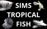 SIMS TROPICAL FISH - SHIPPING AS NORMAL IN THE UK