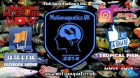 Motionaquatics.UK - Website - Facebook Page