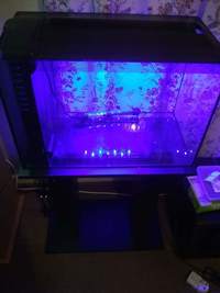 Fluval Spec 60 Aquarium Fish Tank OFFERS CONSIDERED