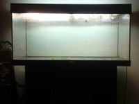 Juwel Aquarium Set Up 228 Litres & Discus