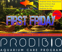 Aquatics Plus November Meeting