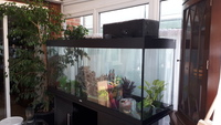 Juwel rio 400 in almost new condition