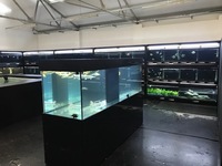 SIMS TROPICAL FISH - SHIPPING AS NORMAL IN THE UK