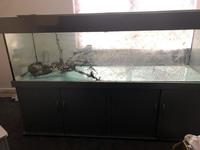 6FT TANK AND STAND