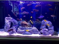 Aquarium Rocks for cichlids and tropical fish tank - empty inside