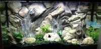 Aquarium Backgrounds REAL 3D FOR ANY AQUARIUM or Viv