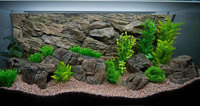 Aquarium Rocks for cichlids and tropical fish tank - empty inside