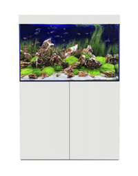 Evolution Aqua eaFreshwater 900 Aquarium and sump - £400