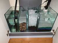 Evolution Aqua eaFreshwater 900 Aquarium and sump - £400
