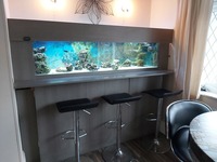 7ft marine tank with sump