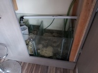 7ft marine tank with sump