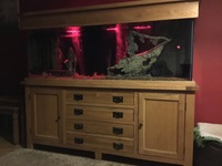 New Home Needed.