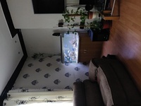 Fish Tank Complete With Fish & Extras