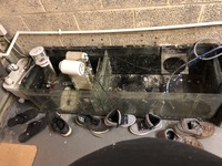 Sump & other Marine pieces for collection only