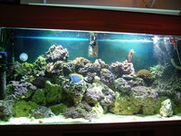 60x24x18 Marine Tank Complete for sale £750.00 OVNO