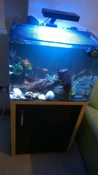 Aqua one 100Ltr setup £100 ONO