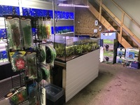 Aquatic Shop Contents For Sale