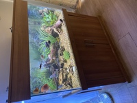 For sale Fish Tank and full set up