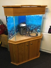 Aqua oak corner aquarium £350 Southend. Essex.