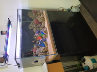 Clearseal Reefspace 900 Marine tank - full set up