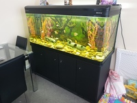 5ft 520 Ltr fish tank for sale