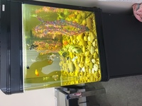 5ft 520 Ltr fish tank for sale