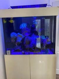 3x2 Marine aquarium full set up