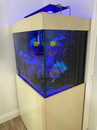 3x2 Marine aquarium full set up